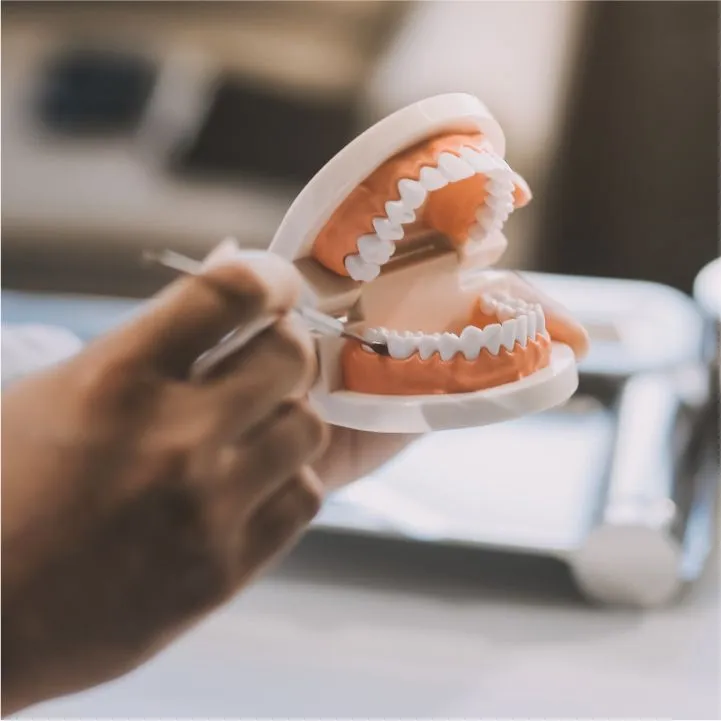 Denture-Traditional Dentures